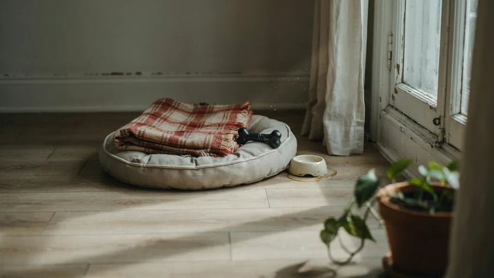 A folded plaid blanket resting on an empty pet bed near a sunlit window