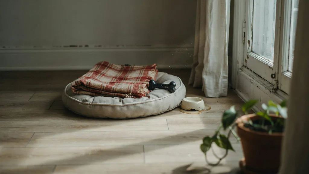 A folded plaid blanket resting on an empty pet bed near a sunlit window
