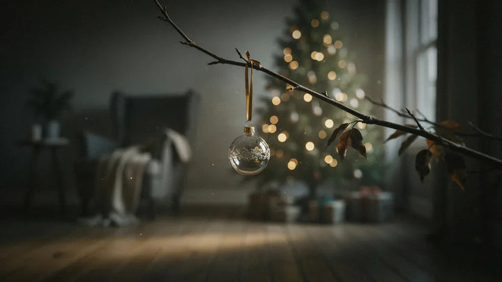 A single ornament hanging on a bare branch beside a softly lit Christmas tree